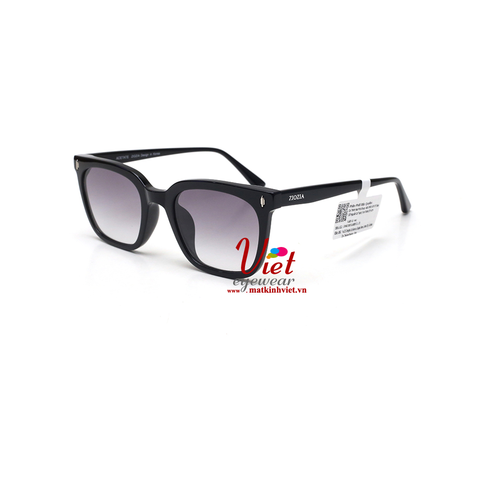 Kính mát ZIOZIA Z53430 C2